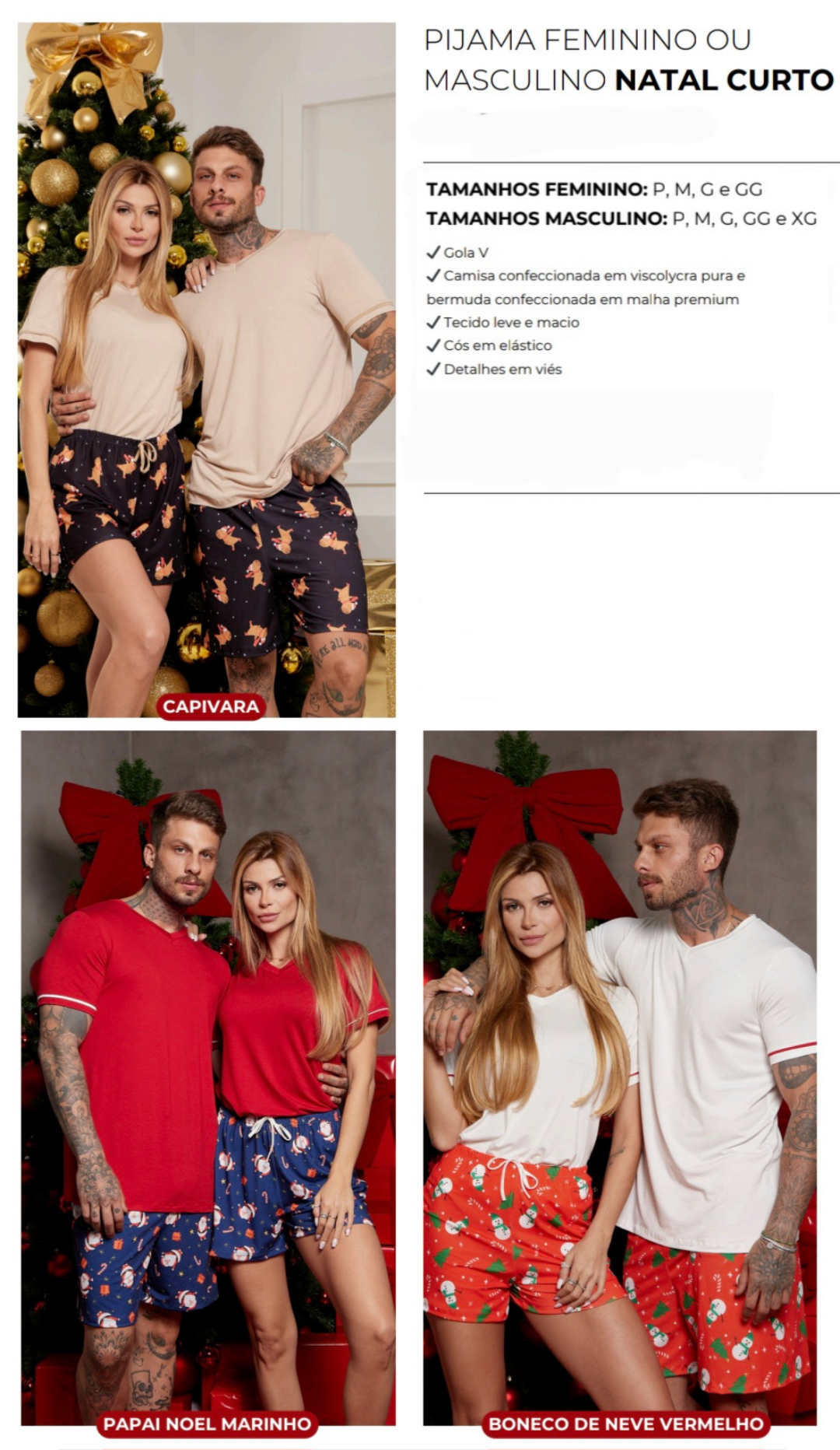 Conjunto de Natal